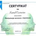 Powiększ obraz: certificate 11