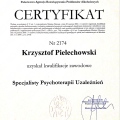 Powiększ obraz: certificate 1
