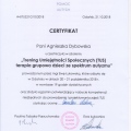 Powiększ obraz: certificate 4