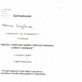 Powiększ obraz: certificate 13