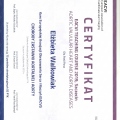 Powiększ obraz: certificate 2