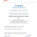 Powiększ obraz: certificate 7