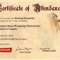 Powiększ obraz: certificate 6