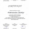 Powiększ obraz: certificate 5