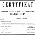 Powiększ obraz: certificate 7