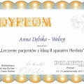 Powiększ obraz: certificate 8