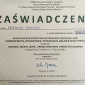 Powiększ obraz: certificate 29