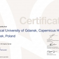 Powiększ obraz: certificate 1