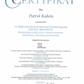 Powiększ obraz: certificate 1