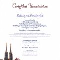 Powiększ obraz: certificate 22
