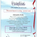 Powiększ obraz: certificate 1