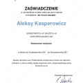Powiększ obraz: certificate 3