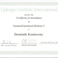 Powiększ obraz: certificate 12