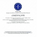 Powiększ obraz: certificate 9