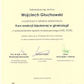 Powiększ obraz: certificate 8