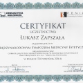 Powiększ obraz: certificate 1