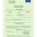 Powiększ obraz: certificate 1