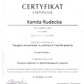 Powiększ obraz: certificate 25