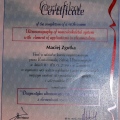 Powiększ obraz: certificate 2