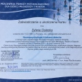Powiększ obraz: certificate 2