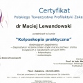 Powiększ obraz: certificate 19