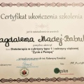 Powiększ obraz: certificate 13