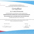 Powiększ obraz: certificate 1