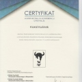 Powiększ obraz: certificate 8