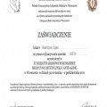 Powiększ obraz: certificate 1