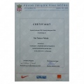 Powiększ obraz: certificate 13