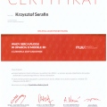 Powiększ obraz: certificate 6