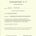 Powiększ obraz: certificate 4