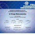 Powiększ obraz: certificate 7