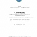 Powiększ obraz: certificate 6