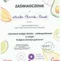 Powiększ obraz: certificate 44