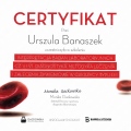 Powiększ obraz: certificate 13