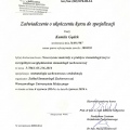 Powiększ obraz: certificate 6