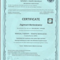 Powiększ obraz: certificate 25