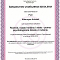 Powiększ obraz: certificate 6