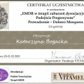 Powiększ obraz: certificate 4