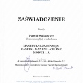 Powiększ obraz: certificate 5