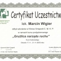 Powiększ obraz: certificate 11