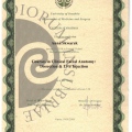 Powiększ obraz: certificate 4