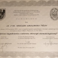 Powiększ obraz: certificate 2