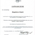 Powiększ obraz: certificate 32