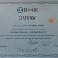Powiększ obraz: certificate 9