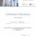 Powiększ obraz: certificate 10