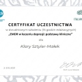Powiększ obraz: certificate 10