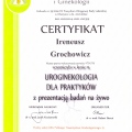 Powiększ obraz: certificate 38