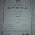 Powiększ obraz: certificate 28